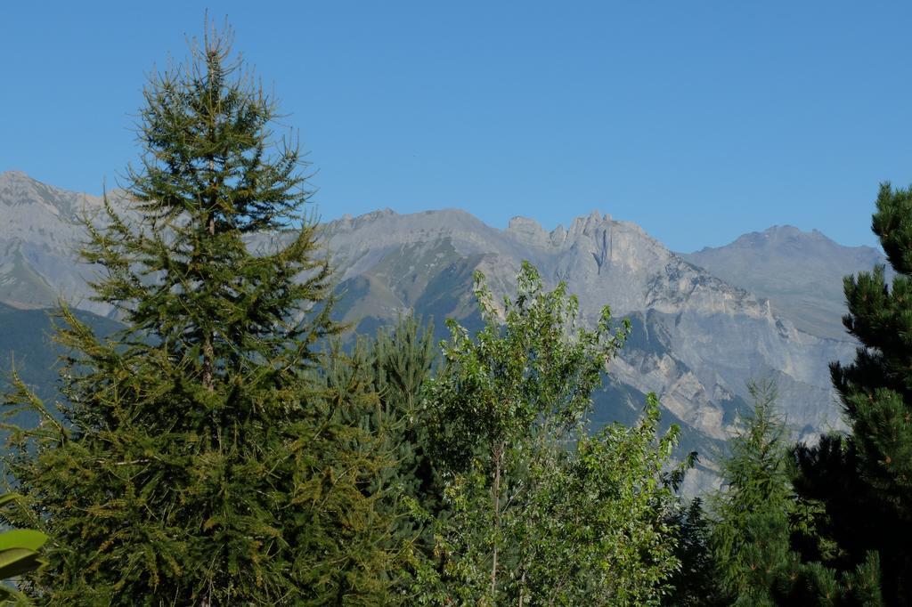 Le Maurillon Apartment Saint-Pancrace  Bagian luar foto
